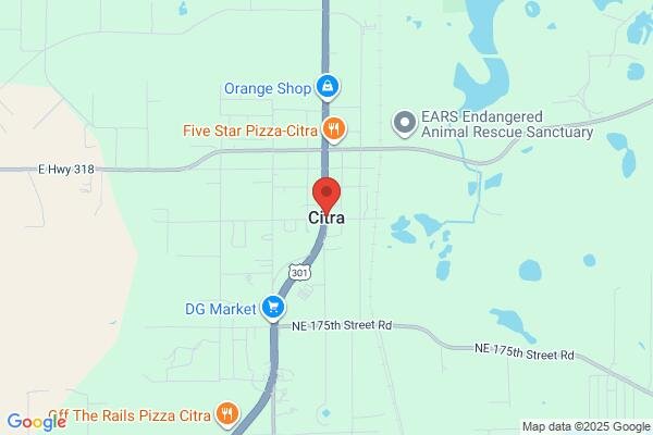 carpet repair and patching in Citra FL 32113 - Roadmap