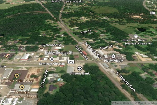 carpet repair and patching in Seminary MS 39479 - Aerial View