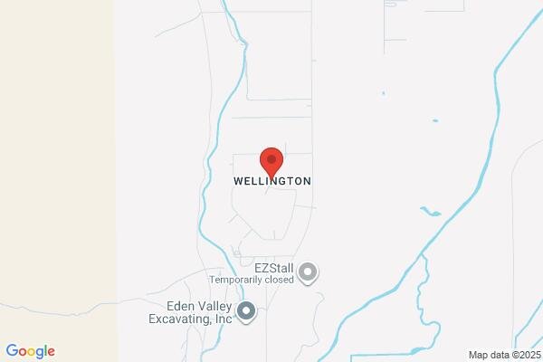 carpet repair and patching in Wellington NV 89444 - Roadmap